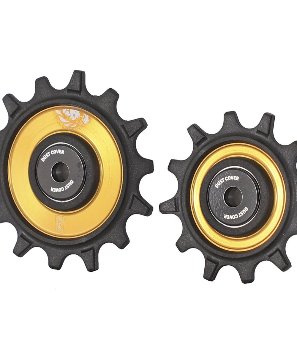 Roldan Ictus Xx1 SRAM